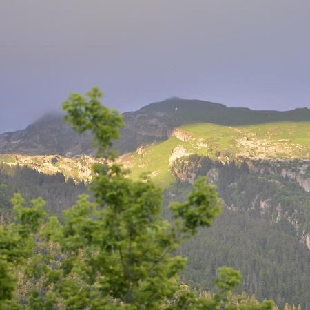 Domaine Du Grand Tetras Samoens Leilighet Eksteriør bilde