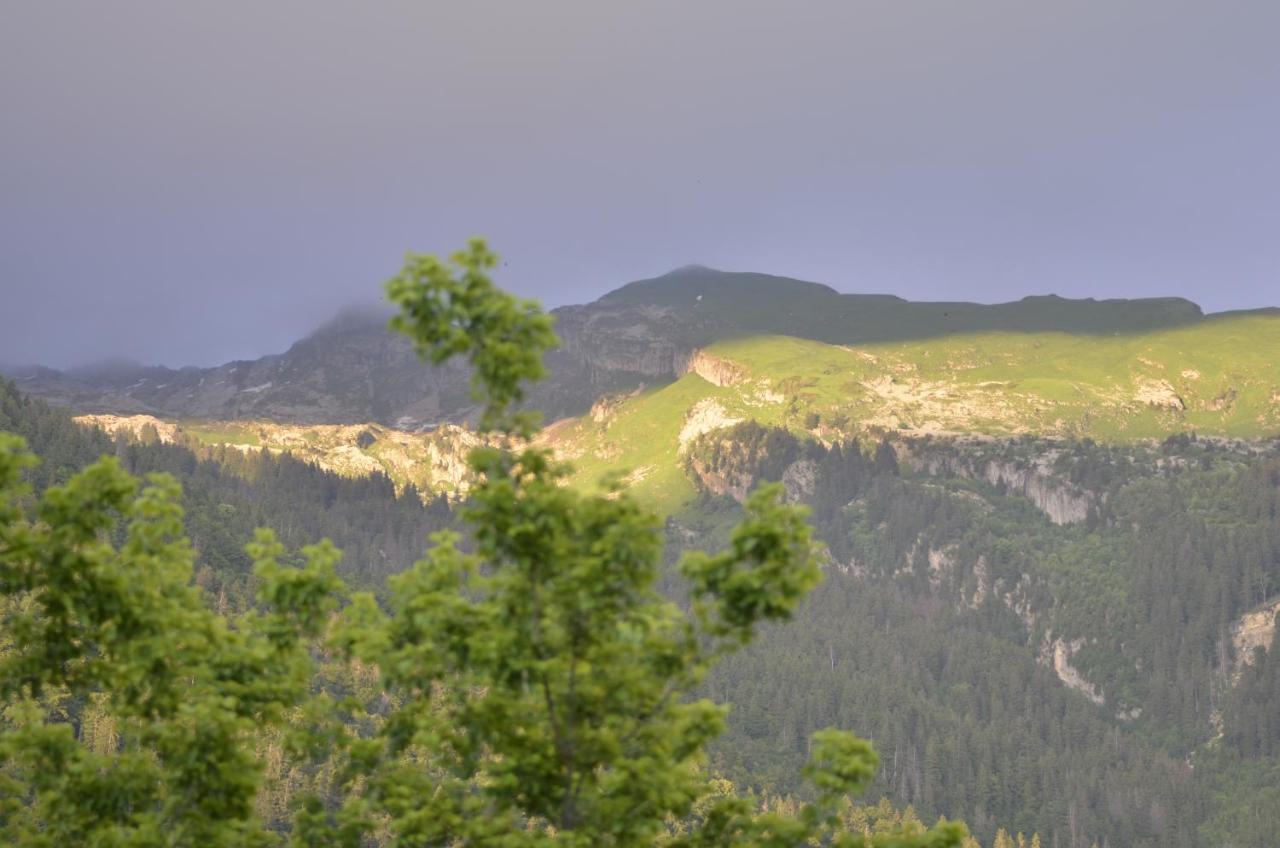 Domaine Du Grand Tetras Samoens Leilighet Eksteriør bilde