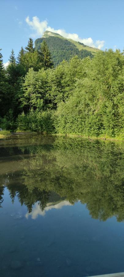 Domaine Du Grand Tetras Samoens Leilighet Eksteriør bilde